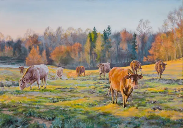 Paweł Kardis, Krowy, 2020