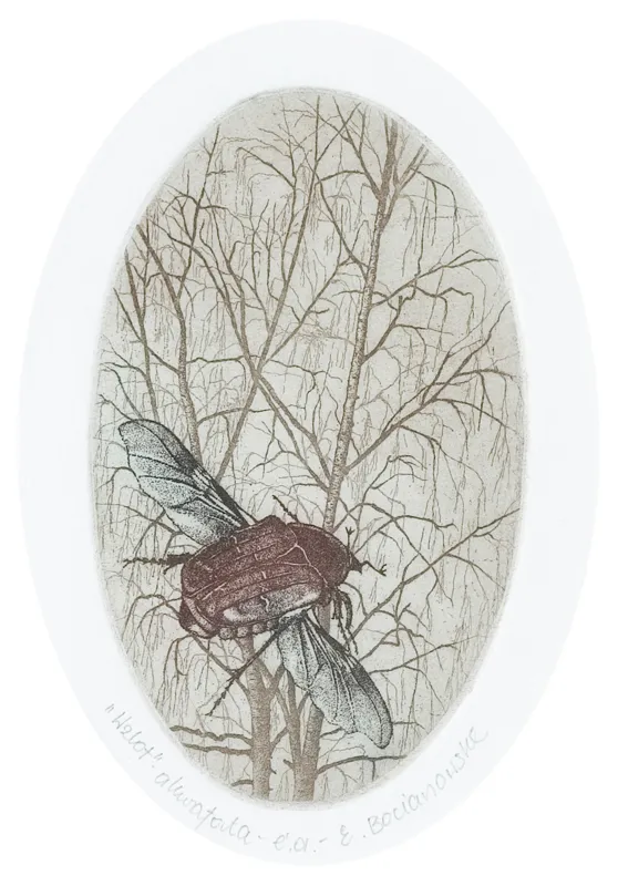 Elżbieta  Bocianowska, Wzlot