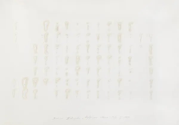 Bożenna Biskupska, Wytyczanie obrazu, 1997