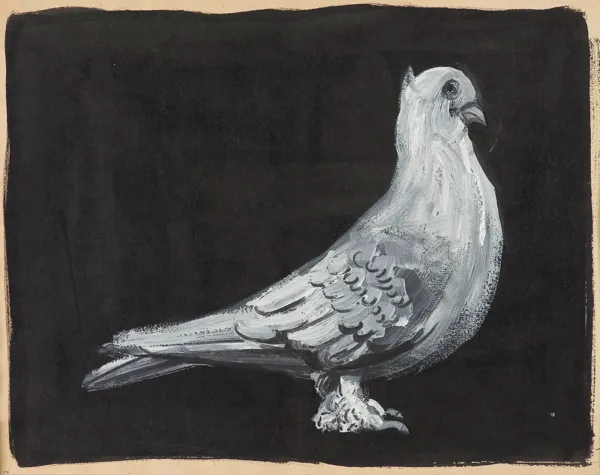 Franciszek Starowieyski, GOŁĄB ok. 1956