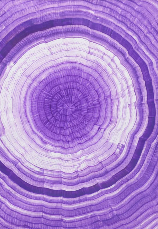 Filip Moszant, ODDH 25, 2020