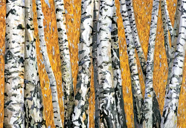 Janusz Oskar  Knorowski, BRZOZY, 2001