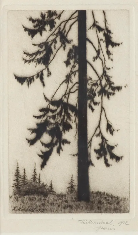 Karol Mondral, SOSNA, 1912