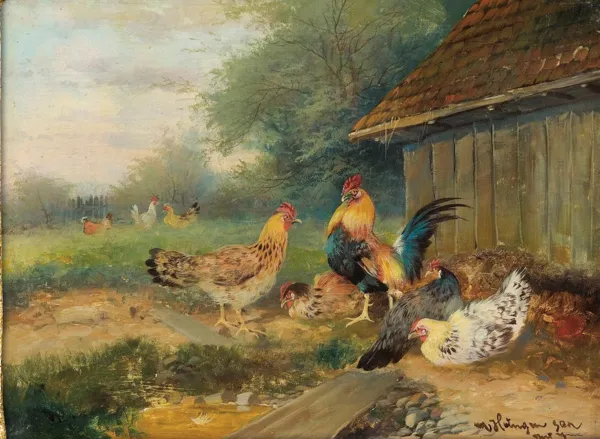 Max senior Haenger, PTASIE PODWÓRKO