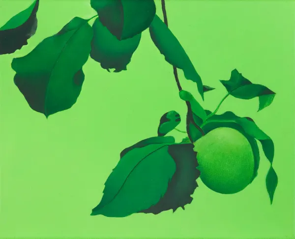 Antoni Janusz Wojnarowski, ZIELONE JABŁKO, 2020