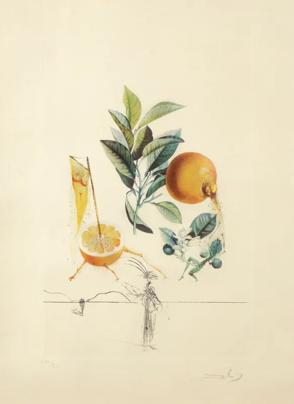 Salvador Dali, GRAPEFRUIT, Z CYKLU "FLORDALI", 1969/70