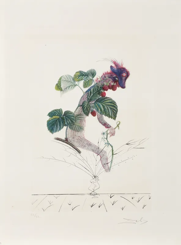 Salvador Dali, KRZAK MALINY, Z CYKLU „FLORDALI“, 1969/1970