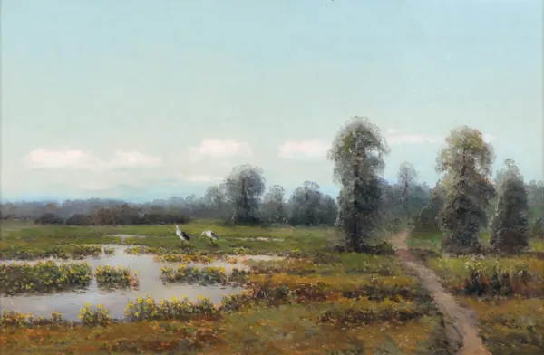 Wiktor Korecki, BOCIANY NAD ROZLEWISKIEM