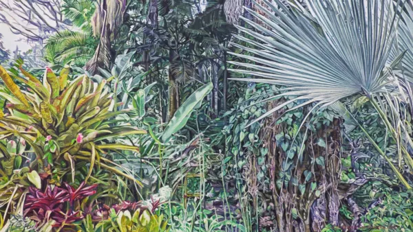 Łucja Sokołowska, Selva, 2021