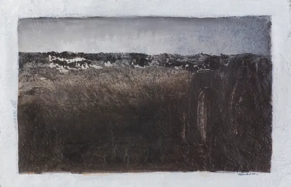 Maciej Klauzner, PUSTYNIA NEGEW, 2010