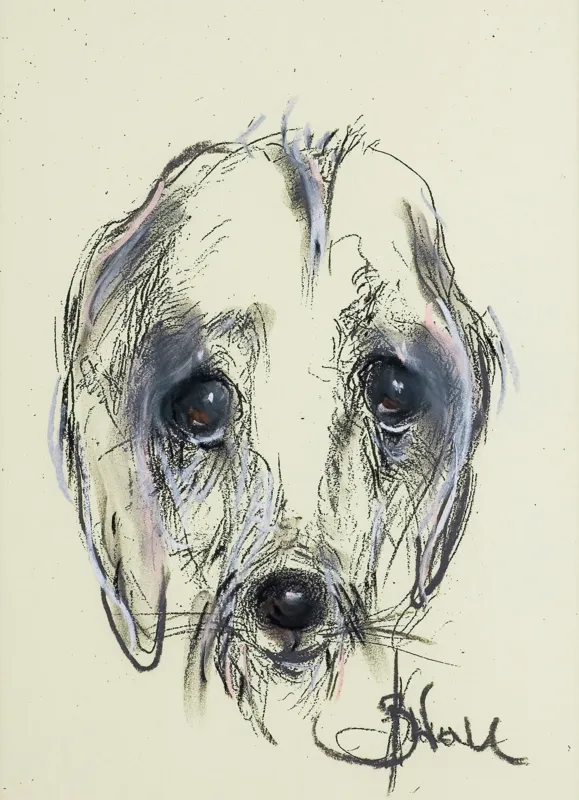 Bożena Wahl, GŁOWA PSA