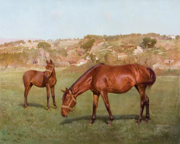 Emile Meyer, KLACZ ZE ŹREBIĘCIEM