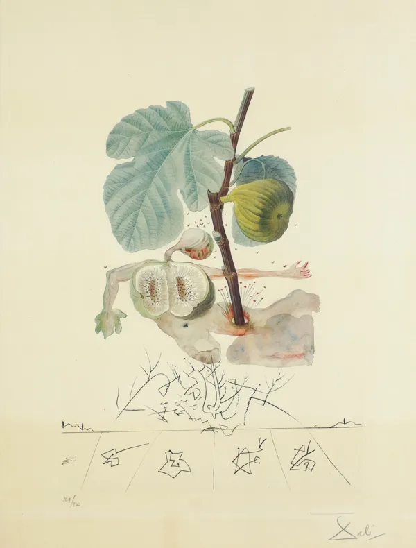 Salvador Dali, CZŁOWIEK FIGA, Z CYKLU „FLORDALI®", 1969/70