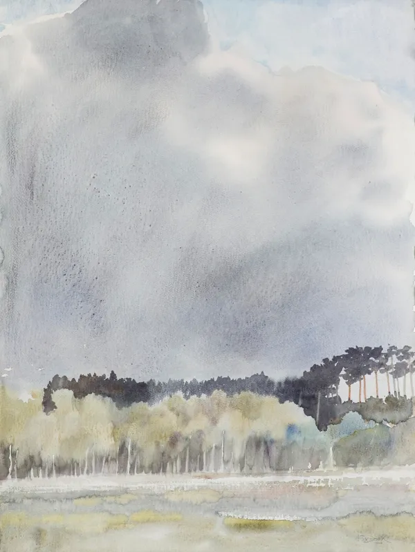 Marek Ałaszewski, ŁĄKI POD WARSZAWĄ, 2000