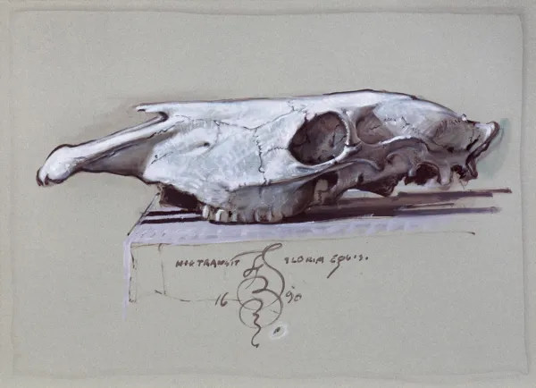 Franciszek Starowieyski, TAK PRZEMIJA CHWAŁA KONIA, 1990