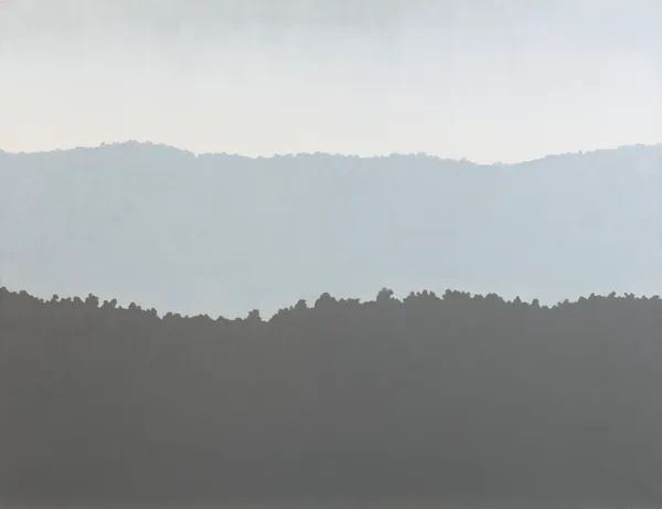 Ryszard Woźniak, PEJZAŻ EKRANOWY 3, 2010