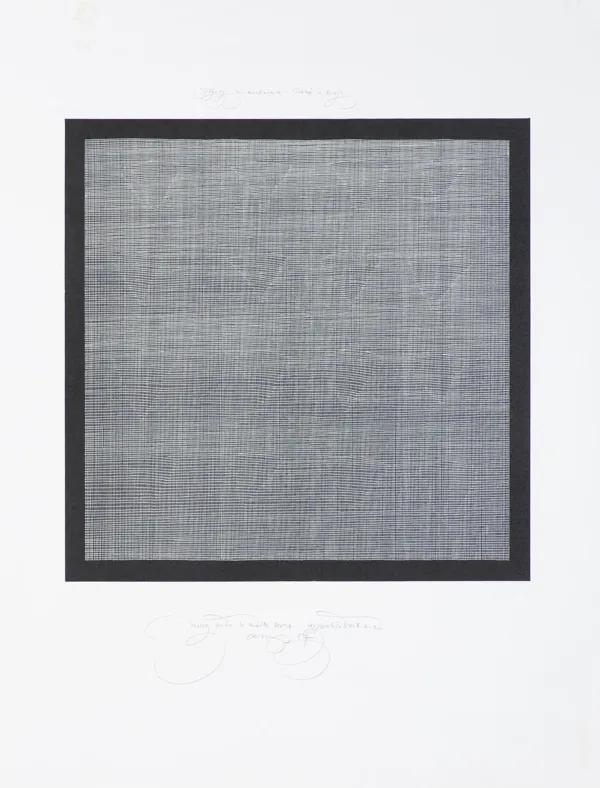 Andrzej Smoczyński, Figury zamaskowane – Cienie w Raju… , 1987