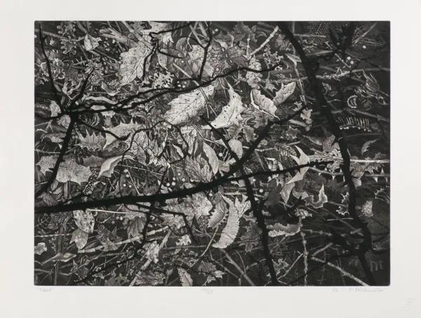 Andrzej Bielawski, Kolce, 1982