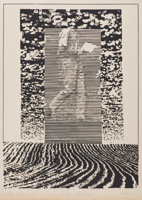 Wojciech  Krzywobłocki, Carte blanche, 1973