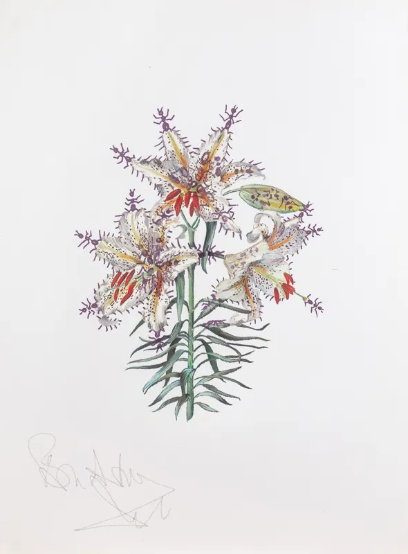 Salvador Dali, LILIUM AURATIUM FORMICANS,  1972