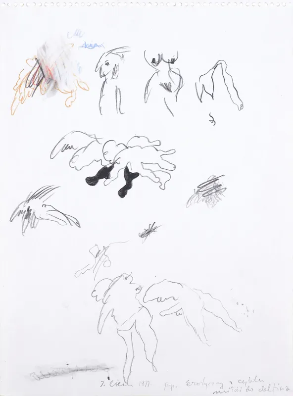 Tomasz Ciecierski, Rysunek erotyczny, 1977