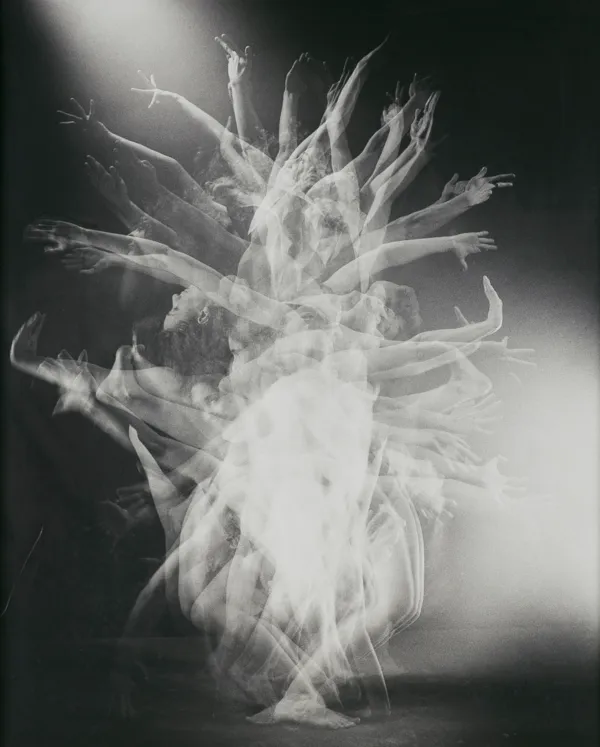 Andrzej  Świetlik, Stokrotka, 2002