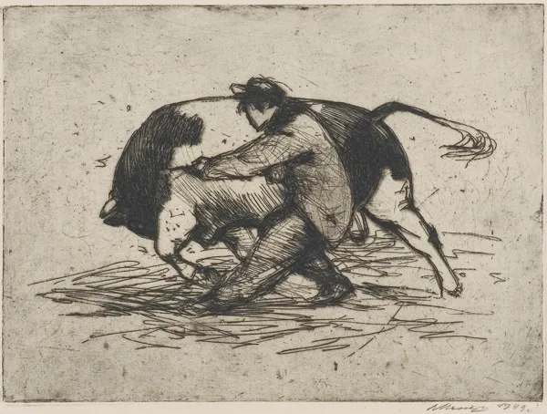 Ludwik Maciąg, Walka z bykiem, 1949