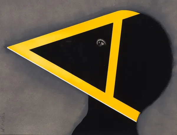 Wiesław Rosocha, Profil