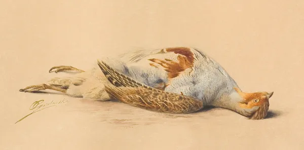 Olga Grabowska, KUROPATWA, XI 1889