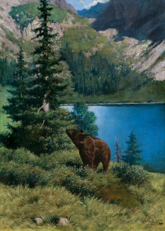 Stanisław Witkiewicz, NIEDŹWIEDŹ W TATRACH, 1892