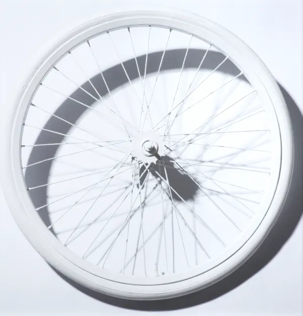 Zbigniew Rogalski, KOŁO, 2008