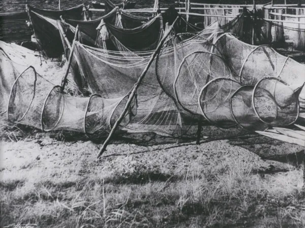 Edward Hartwig, Sieci rybackie na Helu