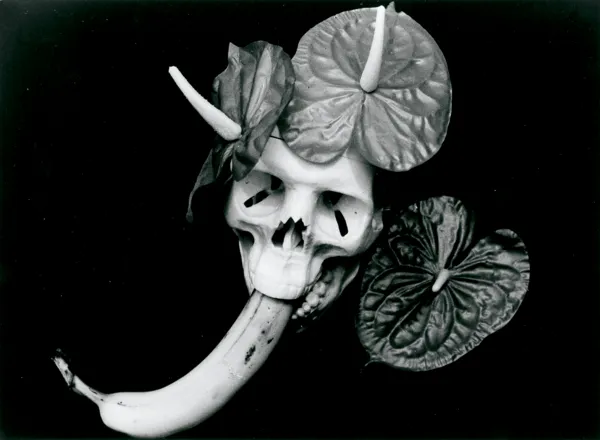 Natalia Lach-Lachowicz (Natalia LL), MARZENIA BRUNHILDY, 1993