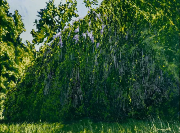 Jacek Barszcz, BEZ, 2019