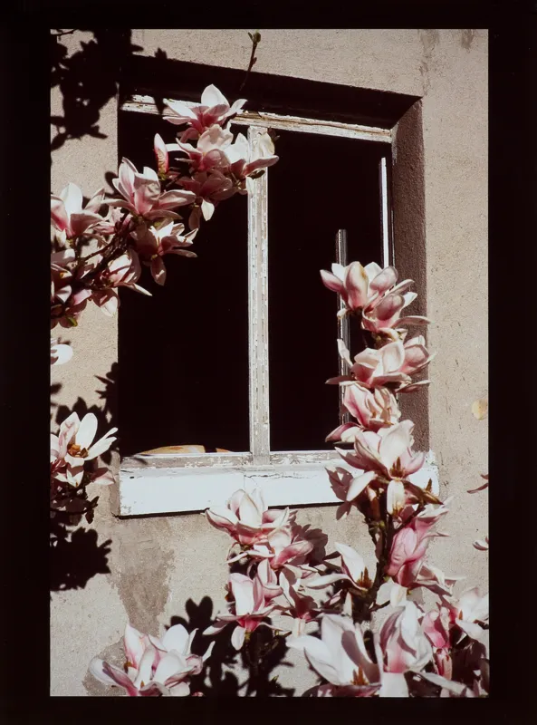 Krzysztof Zieliński, SEENS XIII, 2007