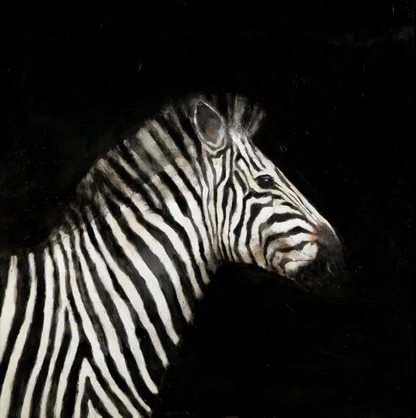 Miguel Macaya, ZEBRA