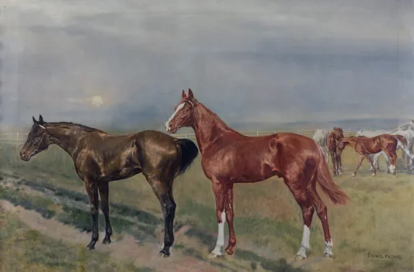 Ludwig Fromme, W STADNINIE