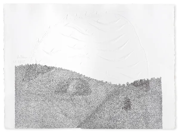 Aviva Blum, BEZ TYTUŁU, 2005