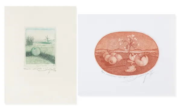 Leszek Rózga, PARA GRAFIK