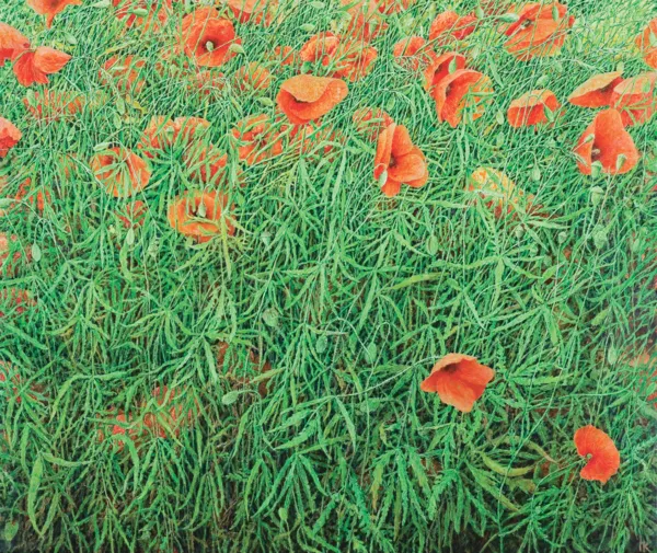 Ireneusz Kojło, ŁĄKA 13, 2020/2023