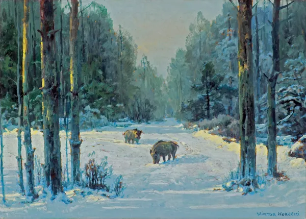 Wiktor Korecki, DZIKI W ZIMOWYM LESIE