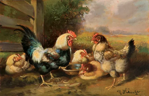 Max senior Haenger, KOGUT I KURY