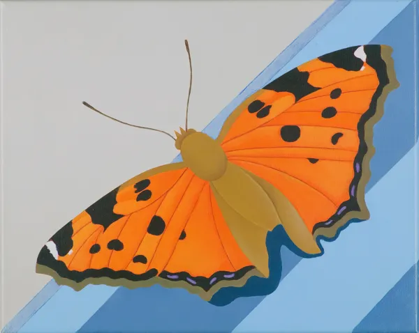 Antoni Janusz Wojnarowski, Motyl, 2013/14