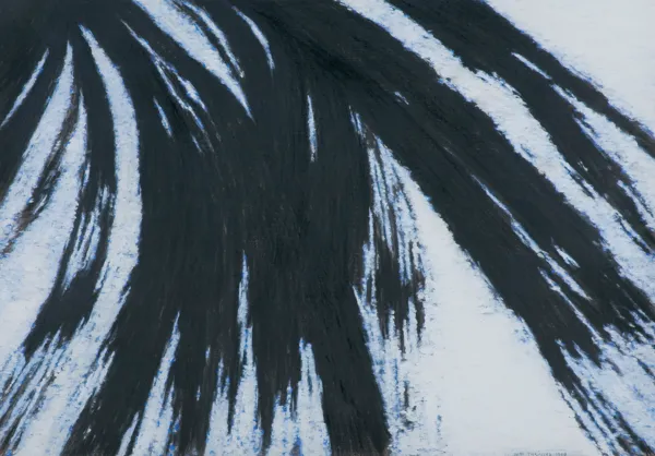 Tomasz Tatarczyk, DROGA, 1996