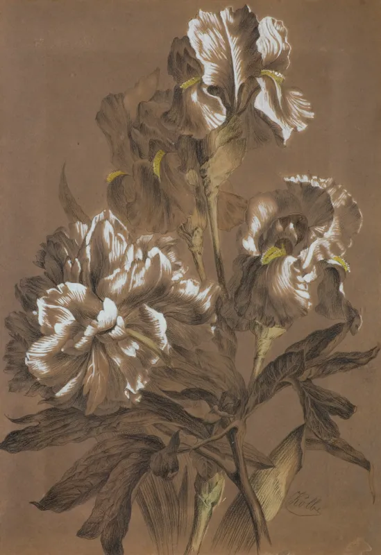 Carl Wilhelm Kolbe, KWIATY