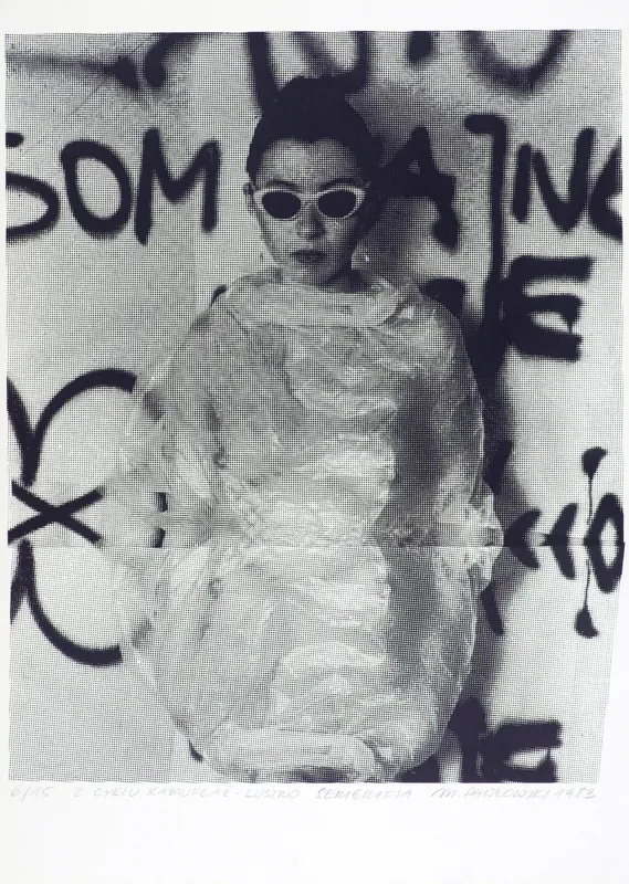 Mirosław Pawłowski, LUSTRO, Z CYKLU „KAMUFLAŻ”, 1983