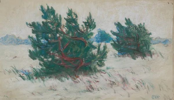 Stanisław Wyspiański, KOSODRZEWINA. KRAJOBRAZ ZIMOWY, 1898