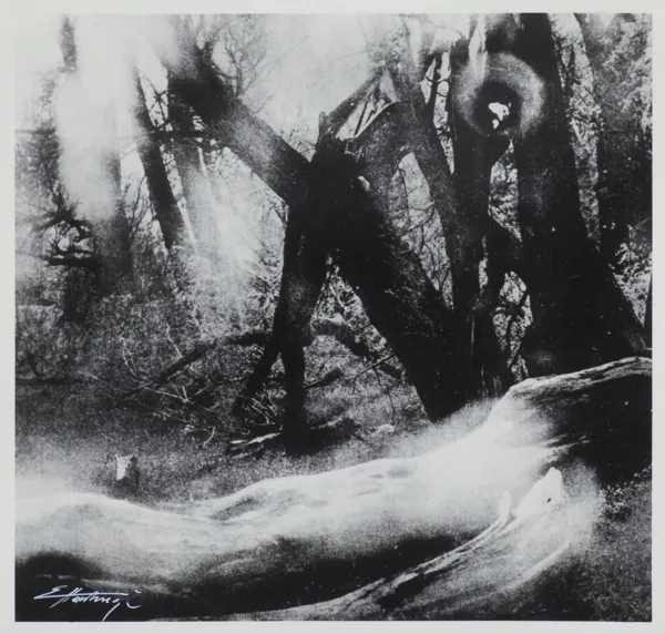 Edward Hartwig, FRAGMENT PUSZCZY