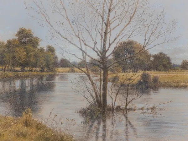 Maciej Cichocki, ŚWIDER 1934, 2014