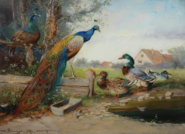 Max senior Haenger, Pawie i kaczki